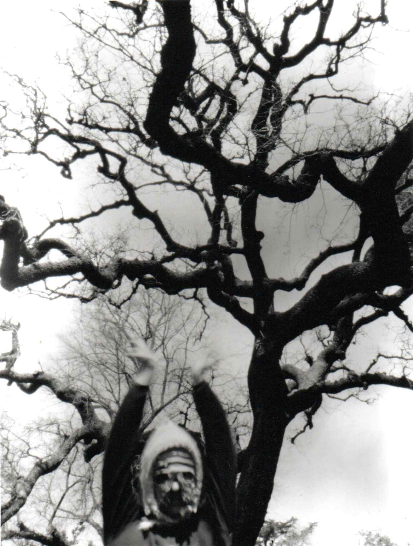 Addison/He With Tree | 5x7”, silver gelatin print, 2023