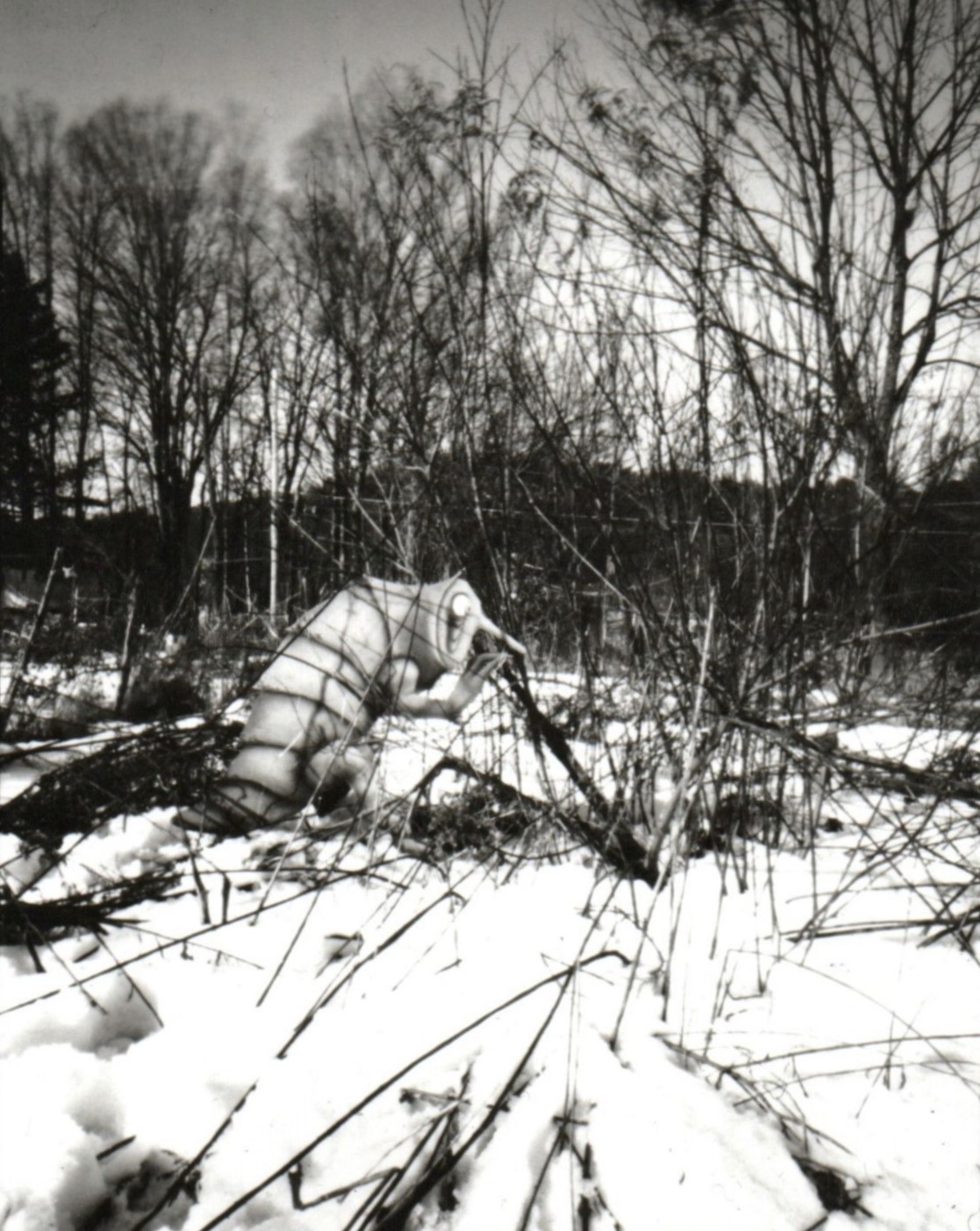 Crossroads Beast | 4x5”, direct positive paper pinhole exposure, 2024